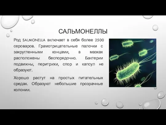 САЛЬМОНЕЛЛЫ Род SALMONELLA включает в себя более 2500 сероваров. Грамотрицательные