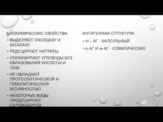 БИОХИМИЧЕСКИЕ СВОЙСТВА: ВЫДЕЛЯЮТ ОКСИДАЗУ И КАТАЛАЗУ РЕДУЦИРУЮТ НИТРАТЫ УТИЛИЗИРУЮТ УГЛЕВОДЫ