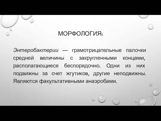 МОРФОЛОГИЯ: Энтеробактерии — грамотрицательные палочки средней величины с закругленными концами,