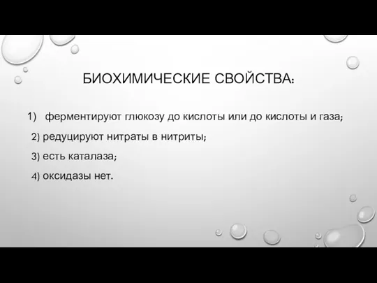 БИОХИМИЧЕСКИЕ СВОЙСТВА: ферментируют глюкозу до кислоты или до кислоты и