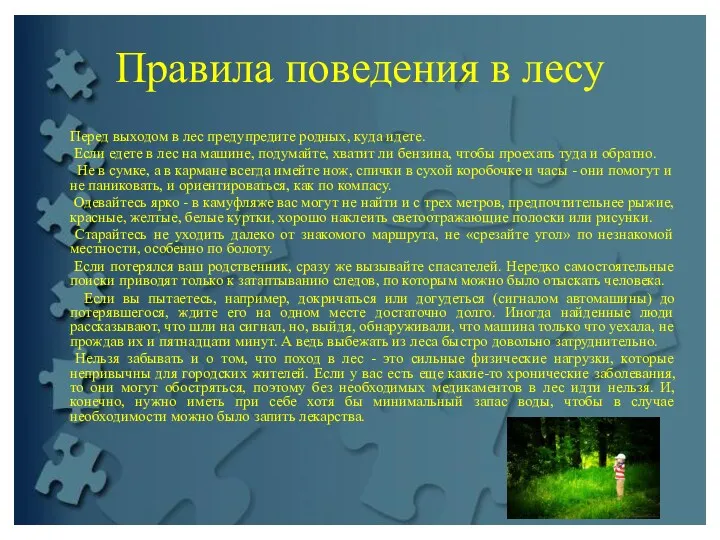 Правила поведения в лесу Перед выходом в лес предупредите родных,