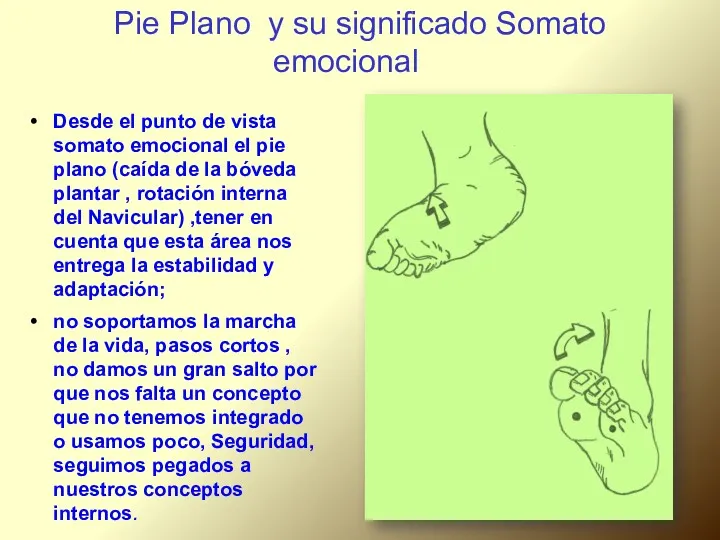 Pie Plano y su significado Somato emocional Desde el punto de vista somato