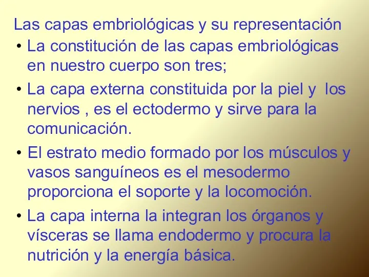 Las capas embriológicas y su representación La constitución de las capas embriológicas en