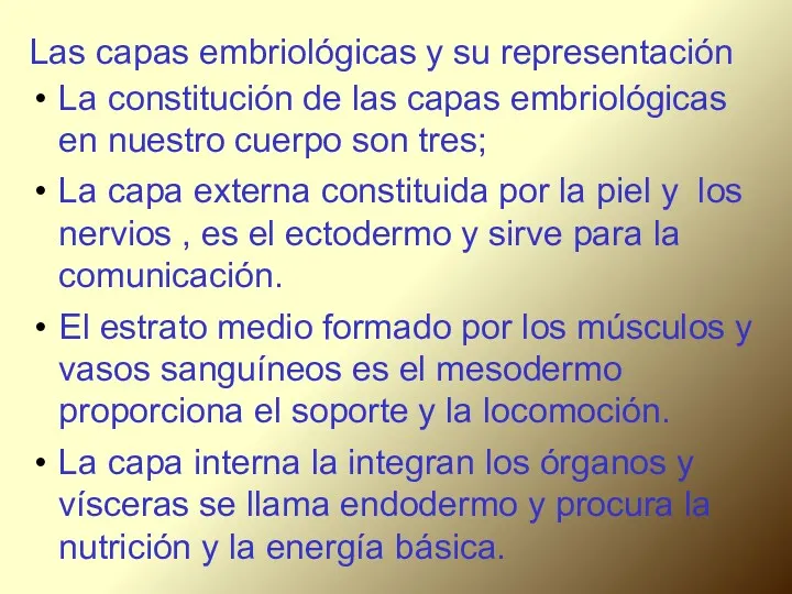 Las capas embriológicas y su representación La constitución de las