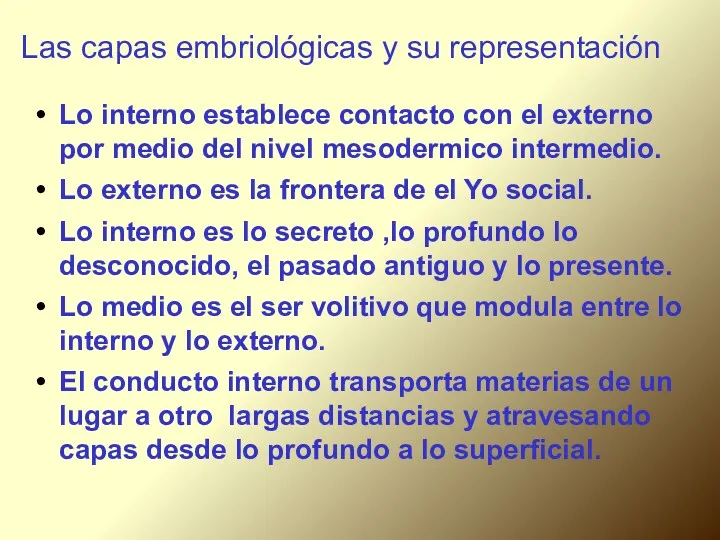 Las capas embriológicas y su representación Lo interno establece contacto con el externo