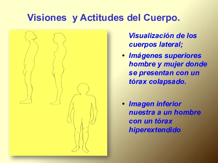 Visiones y Actitudes del Cuerpo. Visualización de los cuerpos lateral;