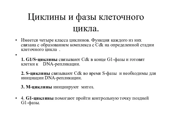 Циклины и фазы клеточного цикла. Имеется четыре класса циклинов. Функция