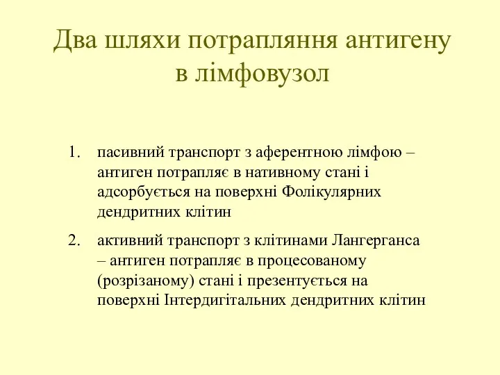 Два шляхи потрапляння антигену в лімфовузол пасивний транспорт з аферентною