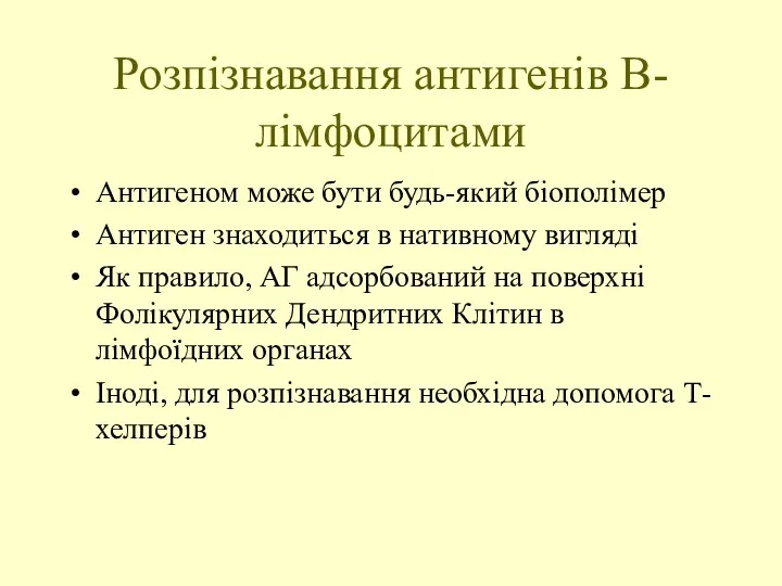 Розпізнавання антигенів В-лімфоцитами Антигеном може бути будь-який біополімер Антиген знаходиться