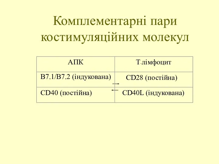 В7.1/В7.2 (індукована) Комплементарні пари костимуляційних молекул