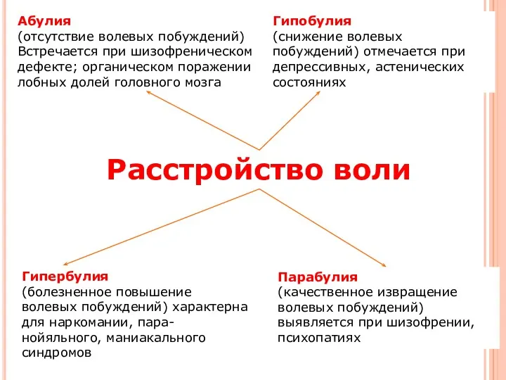 Абулия (отсутствие волевых побуждений) Встречается при шизофреническом дефекте; органическом поражении лобных долей головного