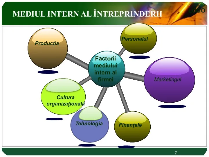 7 MEDIUL INTERN AL ÎNTREPRINDERII