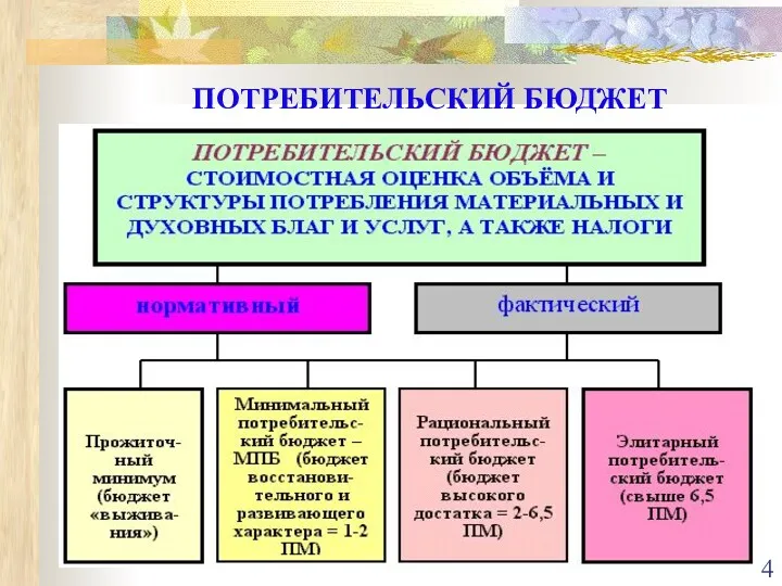 ПОТРЕБИТЕЛЬСКИЙ БЮДЖЕТ