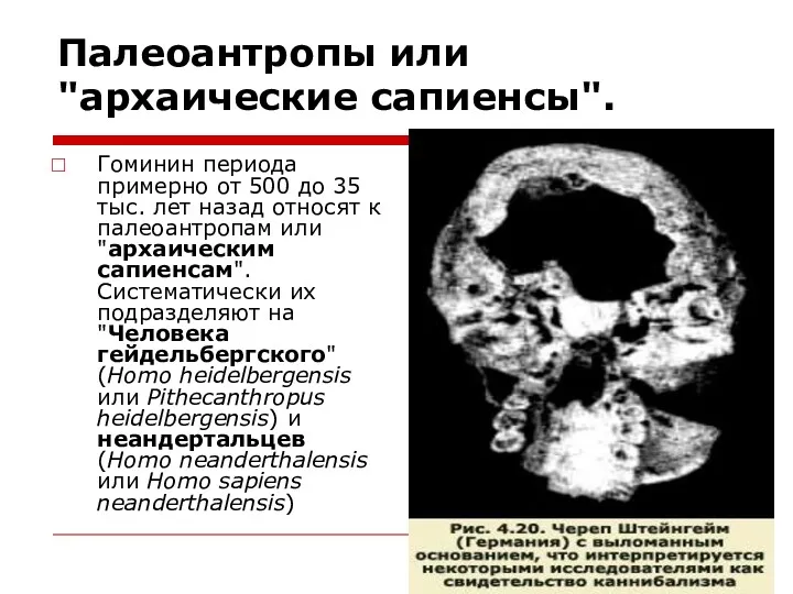 Палеоантропы или "архаические сапиенсы". Гоминин периода примерно от 500 до