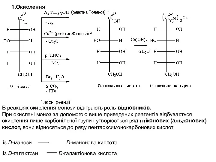 1.Окислення В реакціях окислення монози відіграють роль відновників. При окислені моноз за допомогою