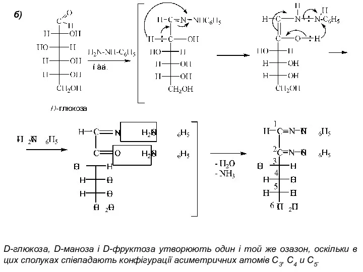 б) D-глюкоза, D-маноза і D-фруктоза утворюють один і той же