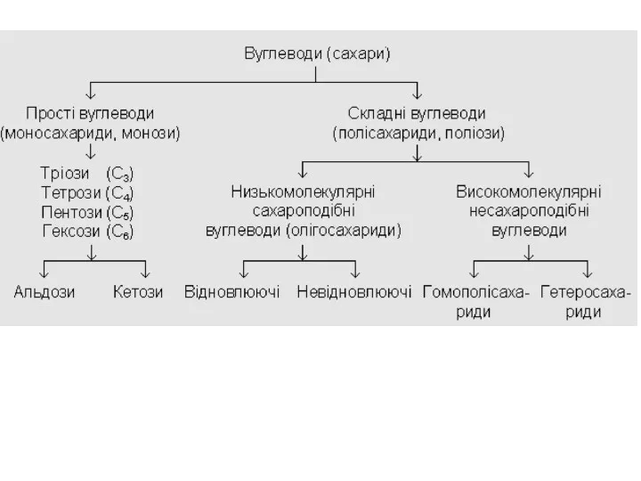 Низькомолекулярні (сахароподібні) полісахариди містять в молекулі не-велике число залишків моноз