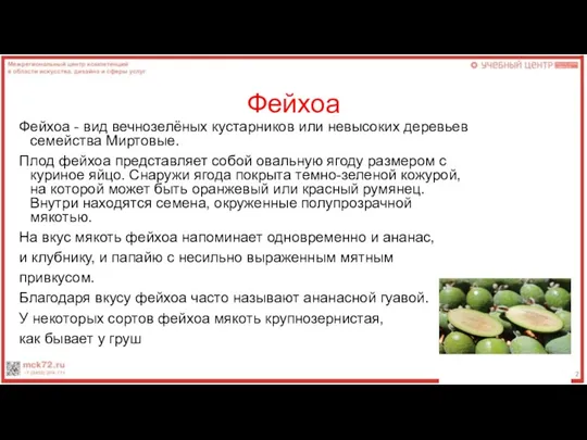 Фейхоа Фейхоа - вид вечнозелёных кустарников или невысоких деревьев семейства