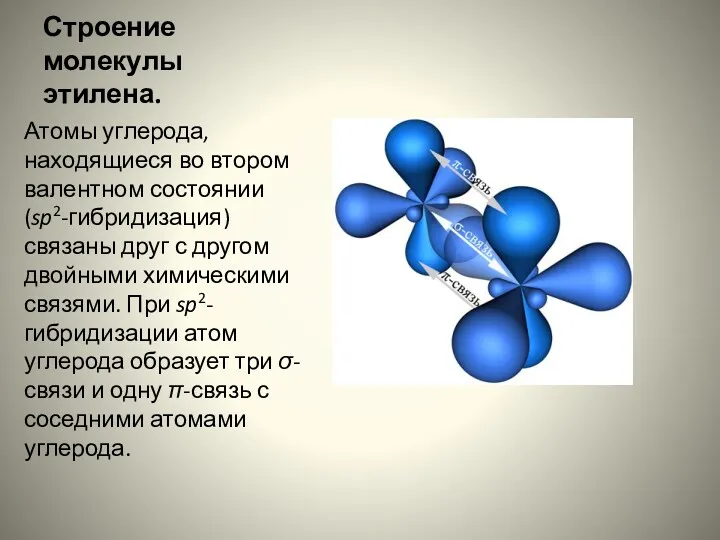 Строение молекулы этилена. Атомы углерода, находящиеся во втором валентном состоянии