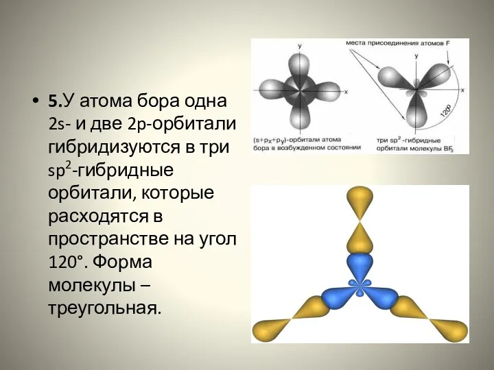 5.У атома бора одна 2s- и две 2p-орбитали гибридизуются в