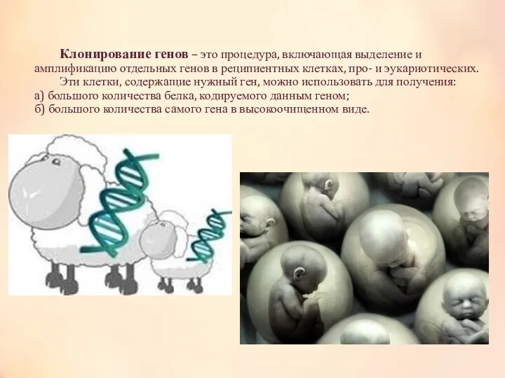 Клонирование генов – это процедура, включающая выделение и амплификацию отдельных