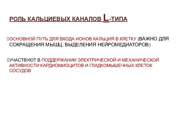 РОЛЬ КАЛЬЦИЕВЫХ КАНАЛОВ L-ТИПА ОСНОВНОЙ ПУТЬ ДЛЯ ВХОДА ИОНОВ КАЛЬЦИЯ