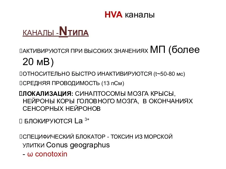 КАНАЛЫ -NТИПА АКТИВИРУЮТСЯ ПРИ ВЫСОКИХ ЗНАЧЕНИЯХ МП (более 20 мВ)