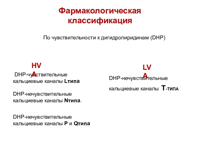 Фармакологическая классификация DHP-чувствительные кальциевые каналы Lтипа DHP-нечувствительные кальциевые каналы Nтипа.