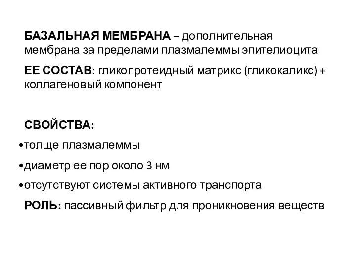 БАЗАЛЬНАЯ МЕМБРАНА – дополнительная мембрана за пределами плазмалеммы эпителиоцита ЕЕ