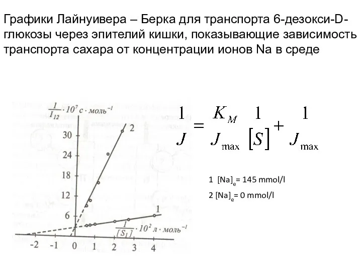 Графики Лайнуивера – Берка для транспорта 6-дезокси-D-глюкозы через эпителий кишки,