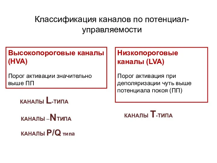 Классификация каналов по потенциал-управляемости Высокопороговые каналы (HVA) Порог активации значительно