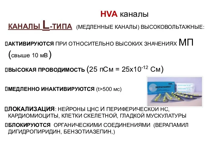 КАНАЛЫ L-ТИПА (МЕДЛЕННЫЕ КАНАЛЫ) ВЫСОКОВОЛЬТАЖНЫЕ: АКТИВИРУЮТСЯ ПРИ ОТНОСИТЕЛЬНО ВЫСОКИХ ЗНАЧЕНИЯХ