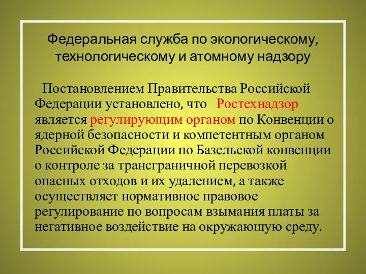 Федеральная служба по экологическому, технологическому и атомному надзору Постановлением Правительства