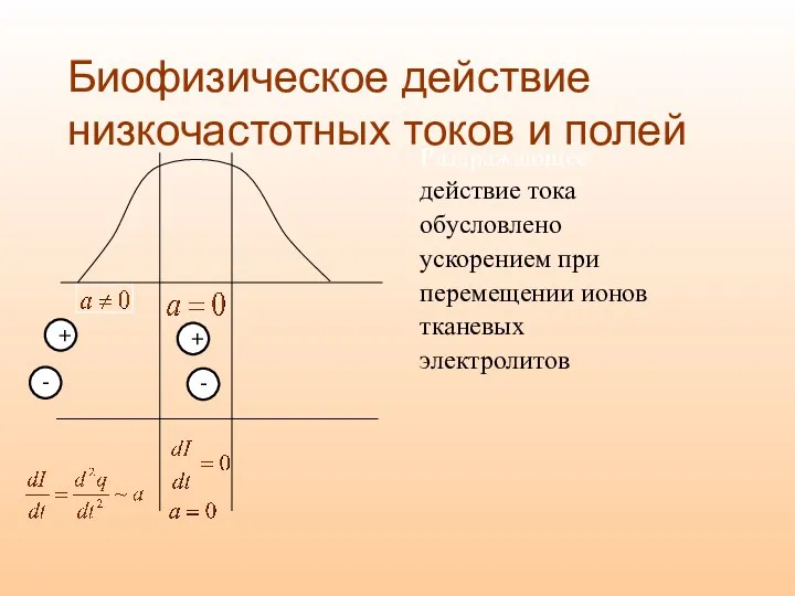 Биофизическое действие низкочастотных токов и полей Раздражающее действие тока обусловлено