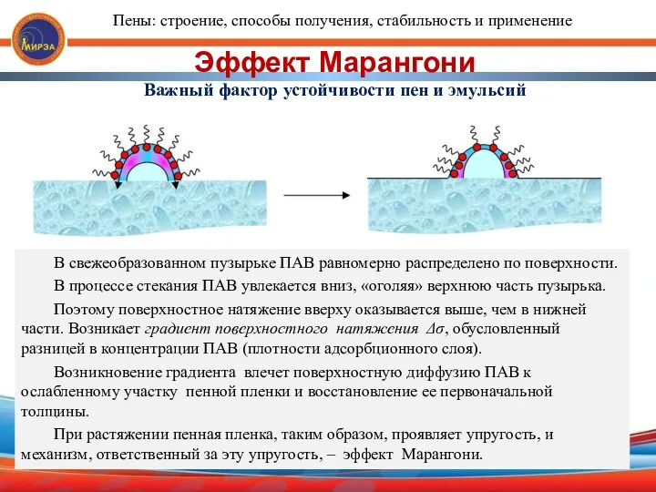 Эффект Марангони Важный фактор устойчивости пен и эмульсий В свежеобразованном