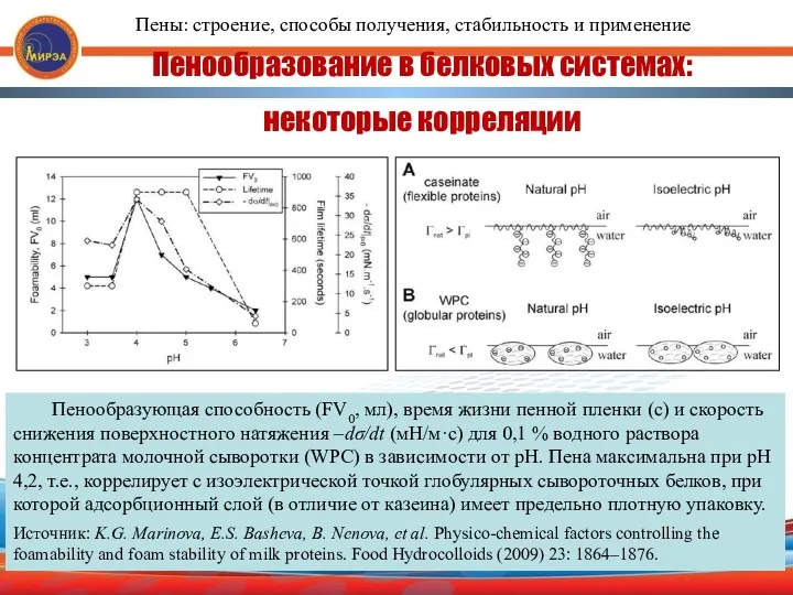 Пенообразование в белковых системах: некоторые корреляции Пенообразующая способность (FV0, мл),