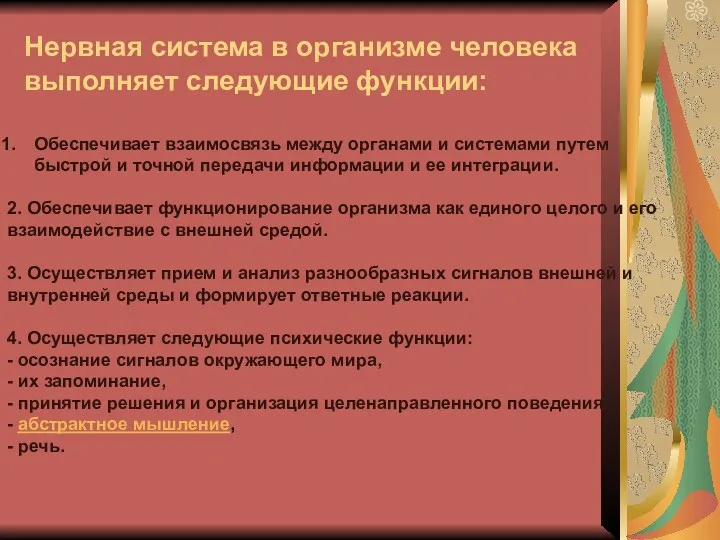 Нервная система в организме человека выполняет следующие функции: Обеспечивает взаимосвязь