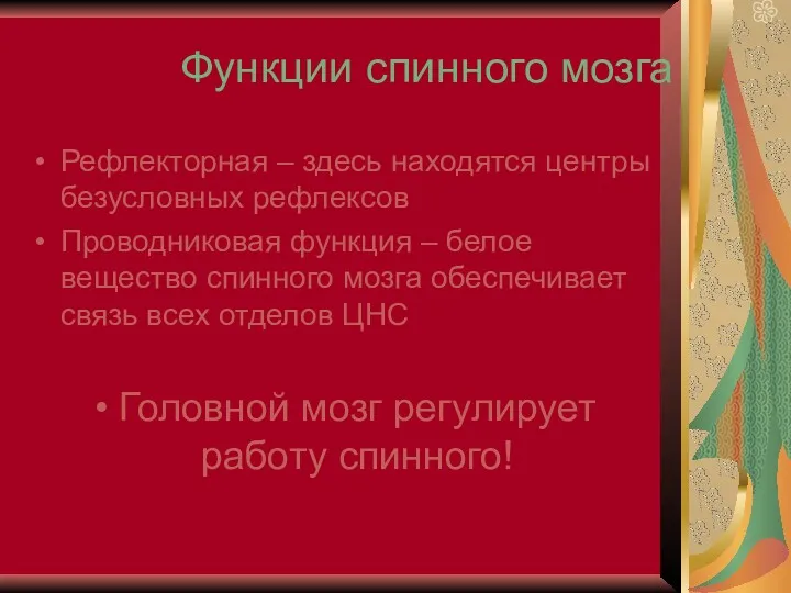 Функции спинного мозга Рефлекторная – здесь находятся центры безусловных рефлексов