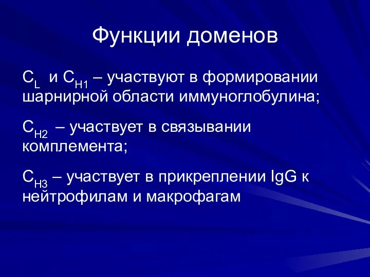 Функции доменов СL и СH1 – участвуют в формировании шарнирной области иммуноглобулина; СH2