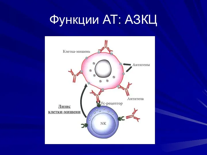 Функции АТ: АЗКЦ