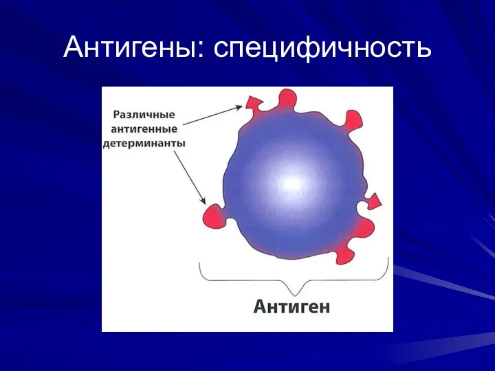 Антигены: специфичность