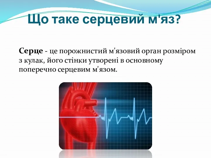 Що таке серцевий м'яз? Серце - це порожнистий м'язовий орган
