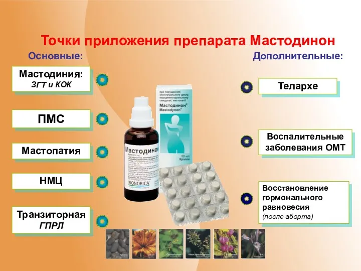 Точки приложения препарата Мастодинон Мастопатия Мастодиния: ЗГТ и КОК ПМС