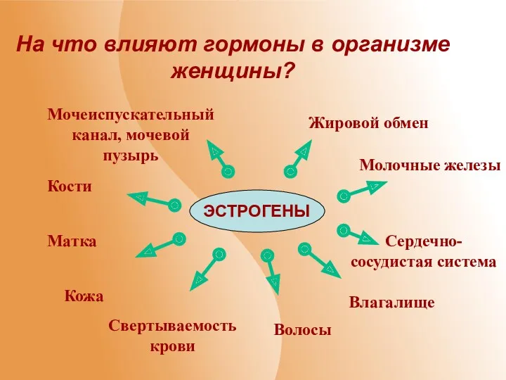 На что влияют гормоны в организме женщины? ЭСТРОГЕНЫ Жировой обмен