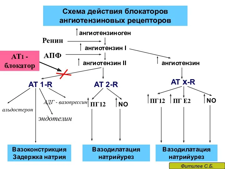 Схема действия блокаторов ангиотензиновых рецепторов ангиотензиноген ангиотензин I ангиотензин II