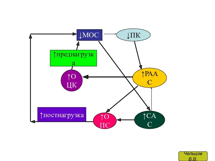 ↓МОС ↓ПК ↑РААС ↑CAC ↑ОПС ↑ОЦК ↑постнагрузка ↑преднагрузка Чельцов В.В.