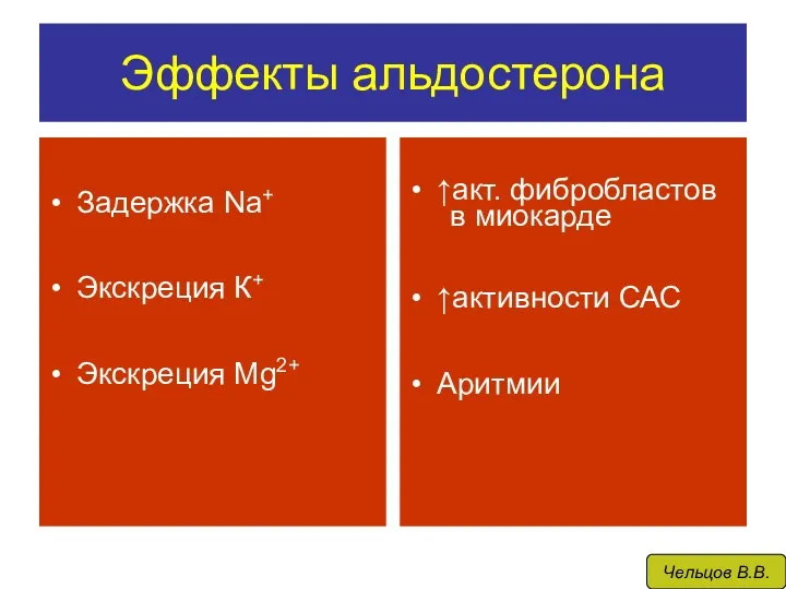 Эффекты альдостерона Задержка Na+ Экскреция К+ Экскреция Mg2+ ↑акт. фибробластов