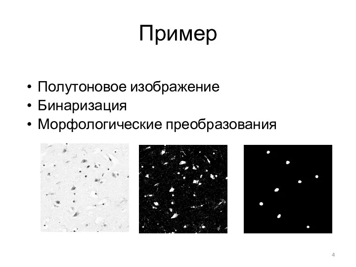 Пример Полутоновое изображение Бинаризация Морфологические преобразования