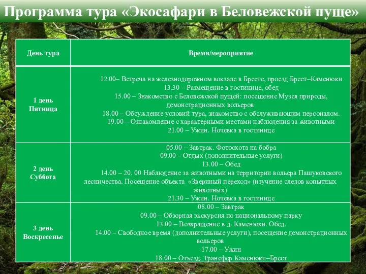 Программа тура «Экосафари в Беловежской пуще»