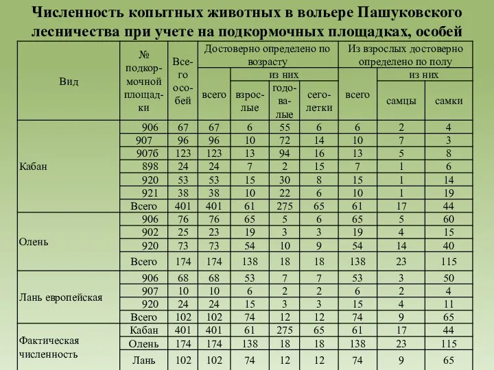 Численность копытных животных в вольере Пашуковского лесничества при учете на подкормочных площадках, особей